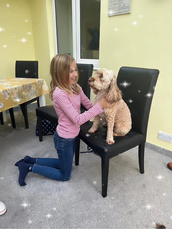 Little girl with dog on a chair